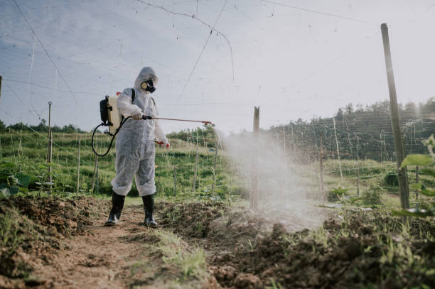 Best Best Pest Control Companies  in St Robert, MO