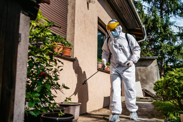 Wildlife Control Services in St Robert, MO