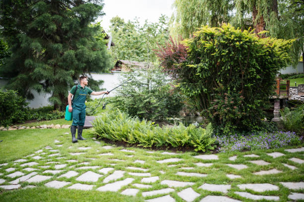 Best Wasp Removal Services  in St Robert, MO