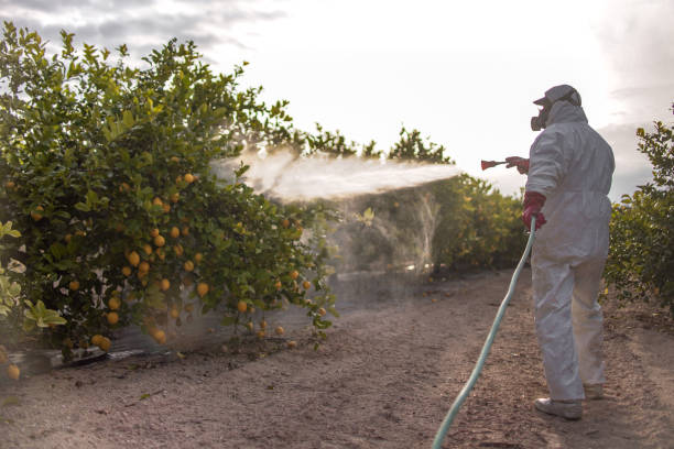 Best Emergency Pest Control  in St Robert, MO