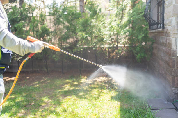 Insect Control in St Robert, MO