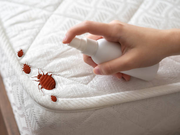 Best Best Pest Control Companies  in St Robert, MO