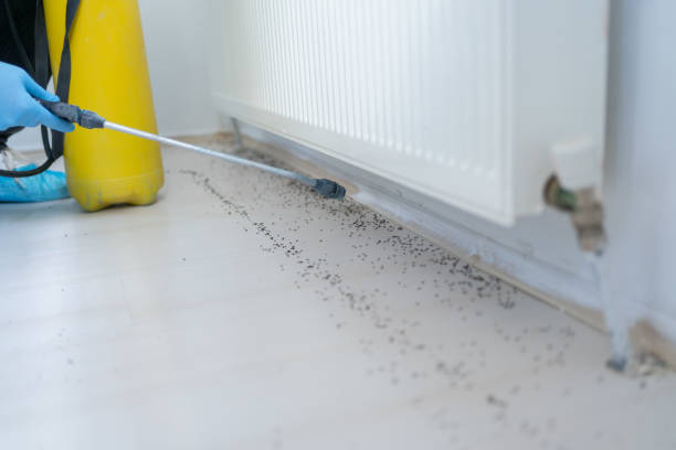 Best Mosquito Control Services  in St Robert, MO